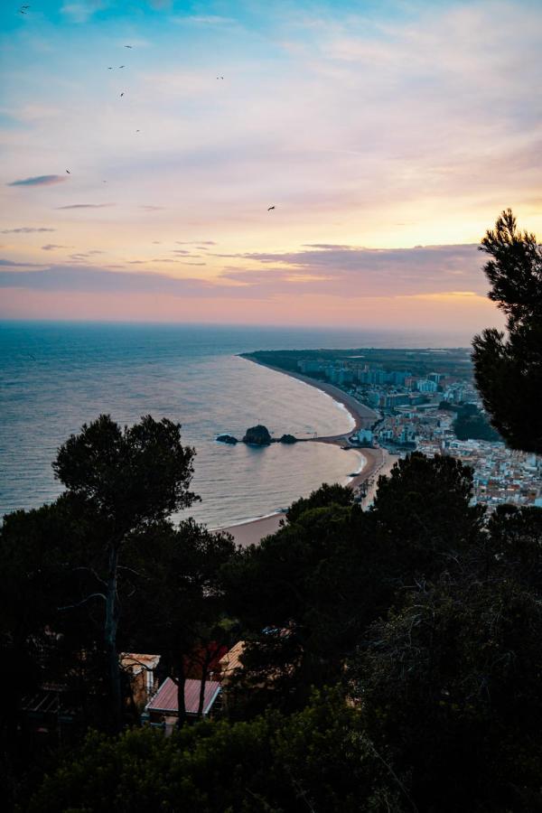 Pierre & Vacances Blanes Playa Dış mekan fotoğraf